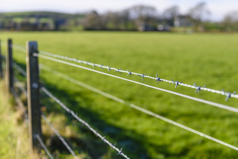 Barbed Wire Fence Service